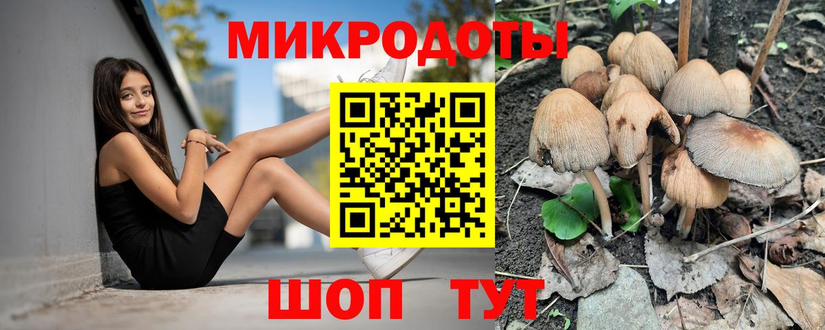 Галлюциногенные грибы мицелий  Галлюциногенные грибы Psilocybine cubensis  Тимашёвск  Вход с VPN 