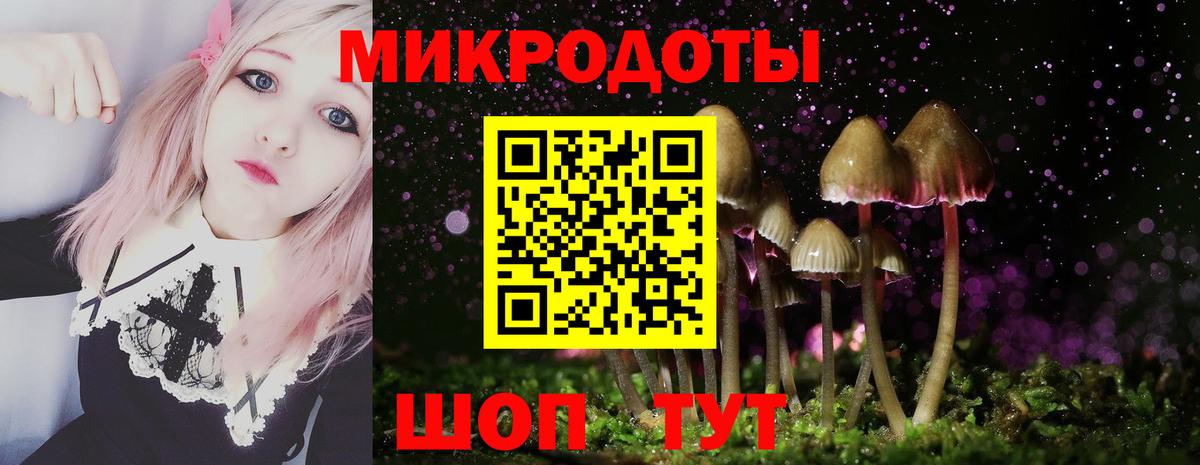 Псилоцибиновые грибы Magic Shrooms Тимашёвск